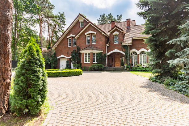 Best Driveway Paving Contractor  in Camp Wood, TX