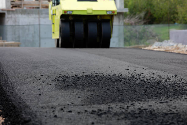 Best Driveway Pavers Near Me  in Camp Wood, TX