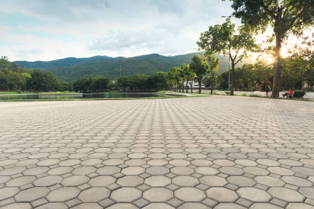 Best Local Driveway Pavers  in Camp Wood, TX